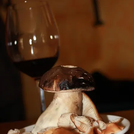 Hotel El Jardin De La Huerta Sahagún