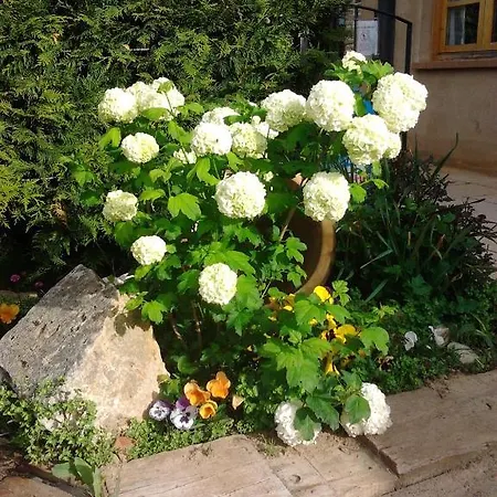 فندق El Jardin De La Huerta