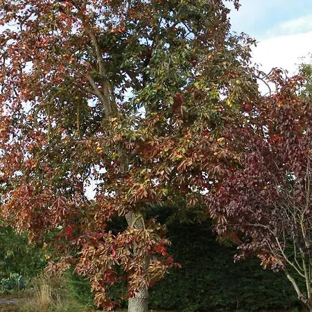 El Jardin De La Huerta Sahagún