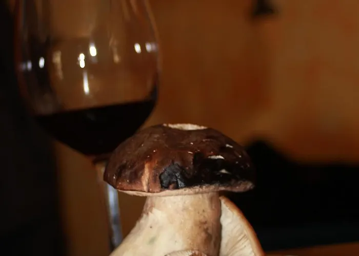 酒店 韦尔塔花园酒店 Sahagún