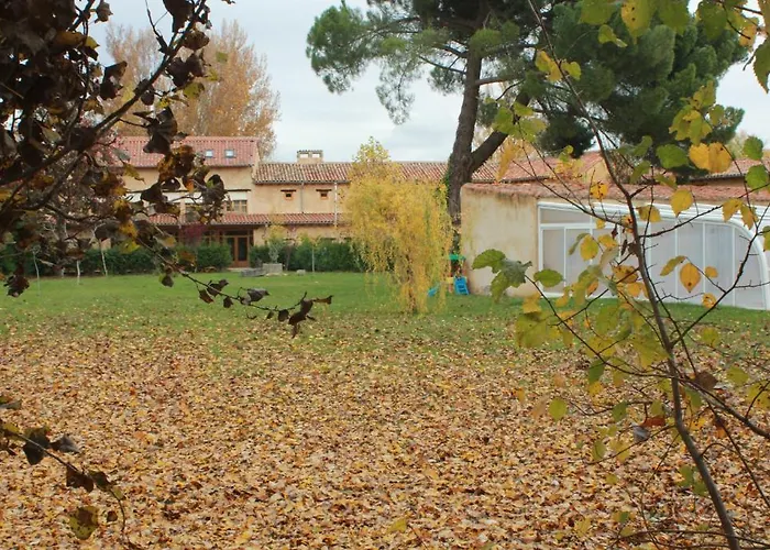 韦尔塔花园酒店 3* Sahagún