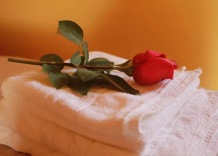 酒店 韦尔塔花园酒店 Sahagún