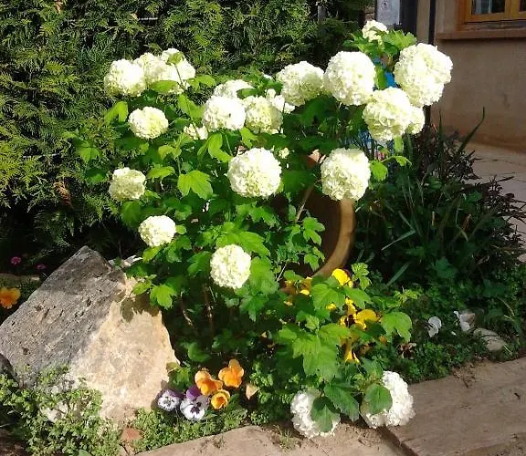 酒店 韦尔塔花园酒店