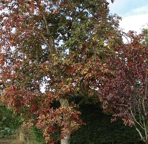 韦尔塔花园酒店 Sahagún